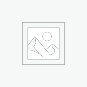 Digital Art Guide